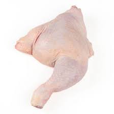 Pollo